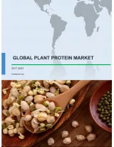 Global Plant Protein Market 2017-2021